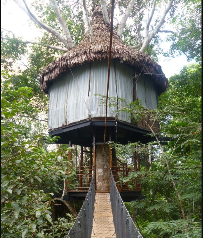 Conoce el hotel donde puedes dormir en árboles de la selva - EstiloDF