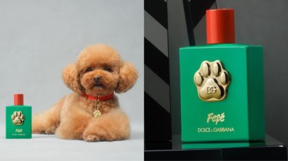 Dolce&Gabbana lanza su primer perfume para perros