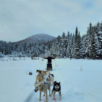 Kanatha-Aki: El paraíso invernal para los amantes de los perros