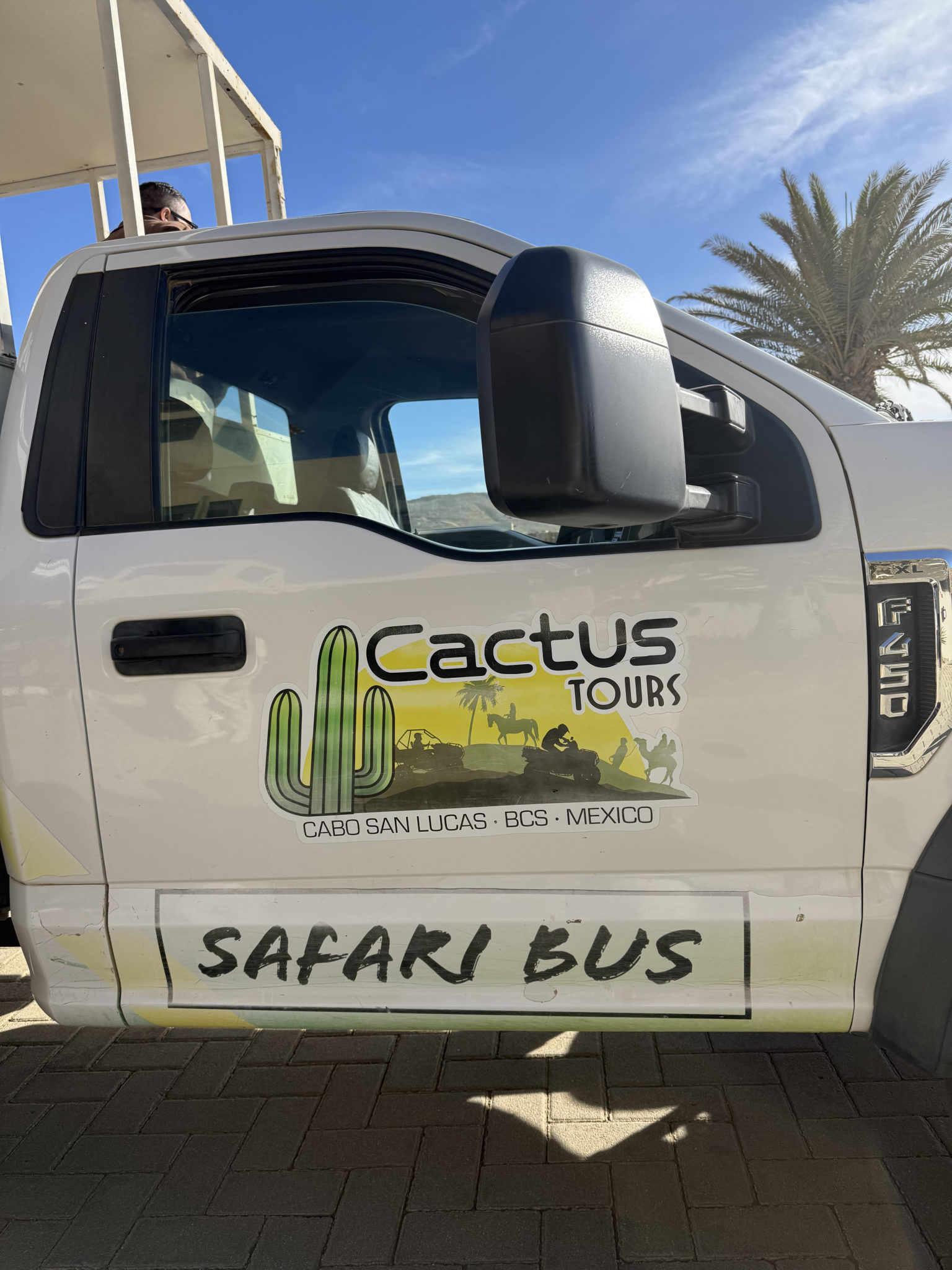 Cactus Tours